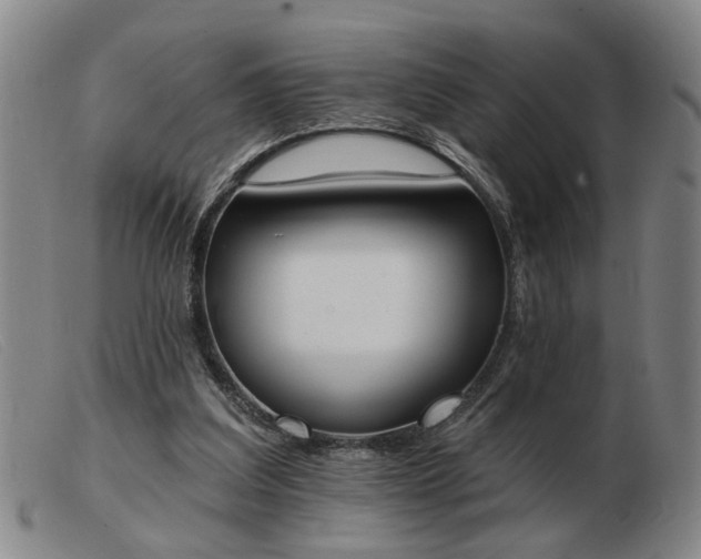 X0000103420203200809191645