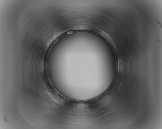 X0000103420204200809191645