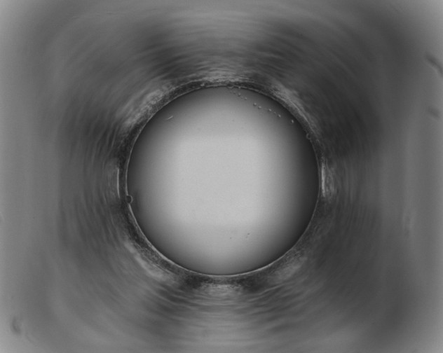 X0000103420205200809191645