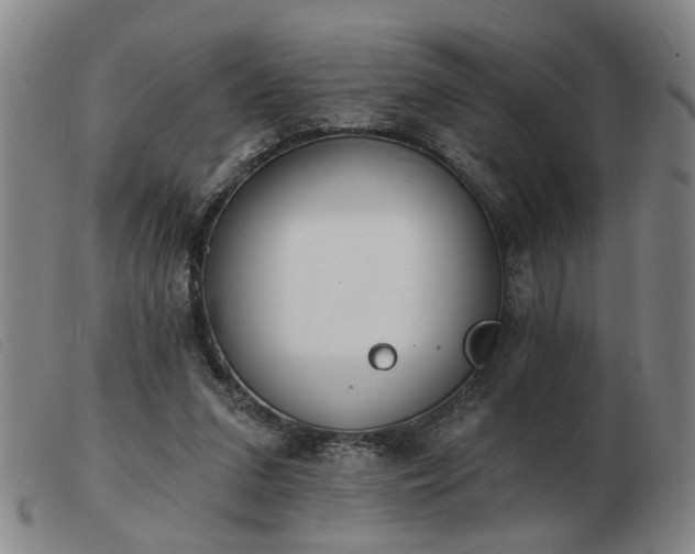 X0000103420207200809191645