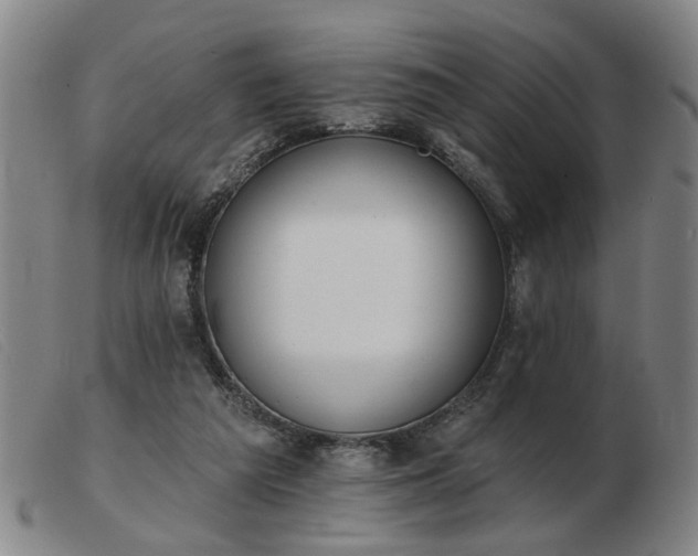 X0000103420209200809191645