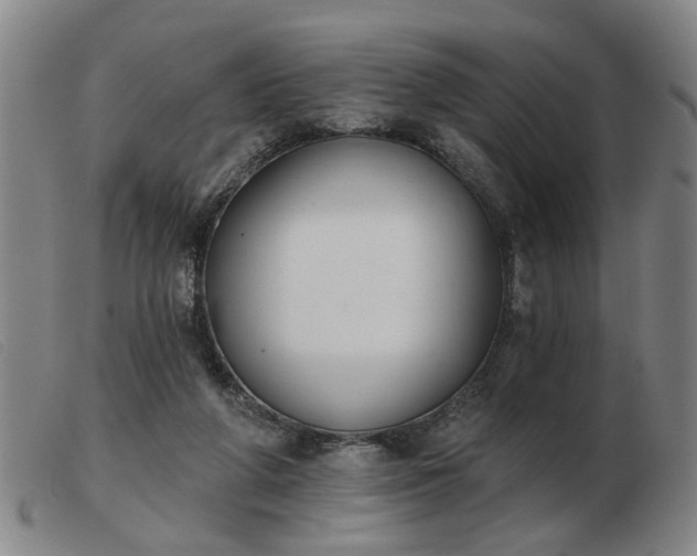 X0000103420210200809191645