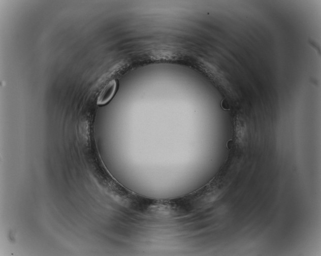 X0000103420211200809191645