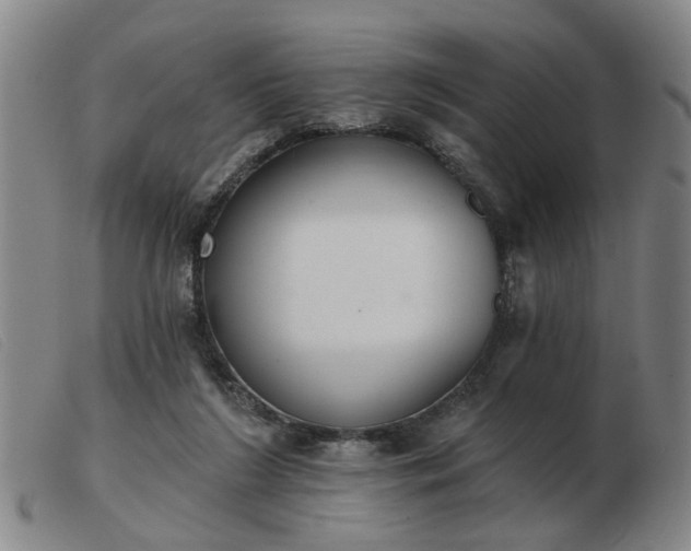 X0000103420212200809191645