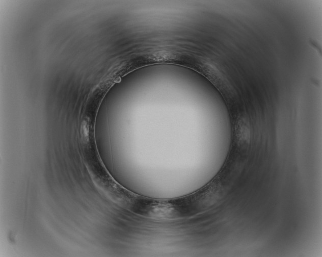 X0000103420214200809191645