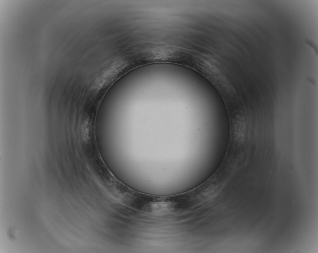 X0000103420216200809191645