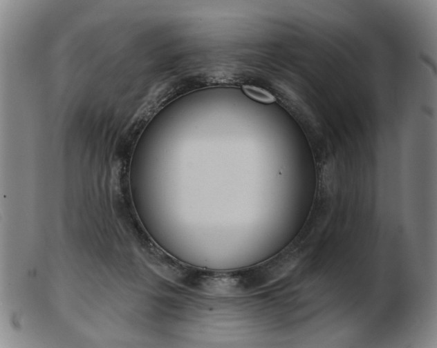 X0000103420217200809191645