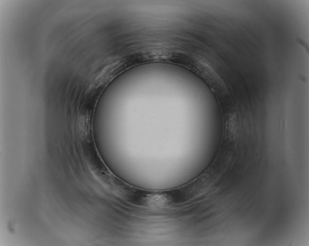 X0000103420218200809191645