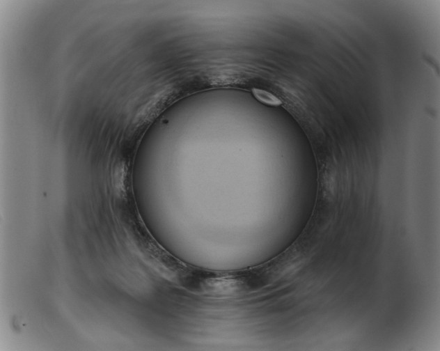 X0000103420219200809191645