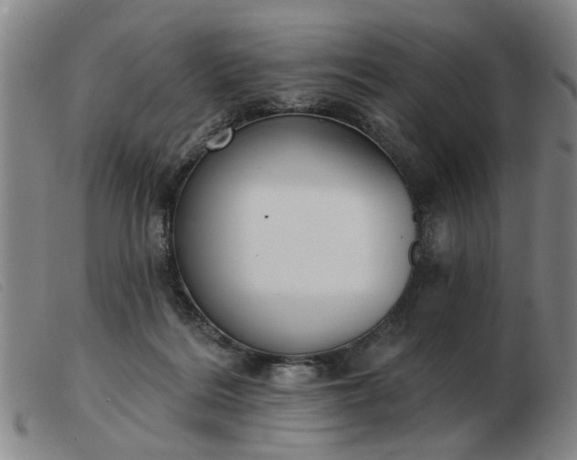 X0000103420220200809191645