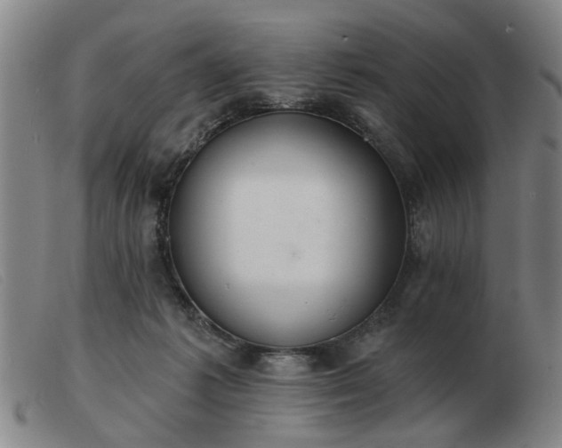 X0000103420221200809191645