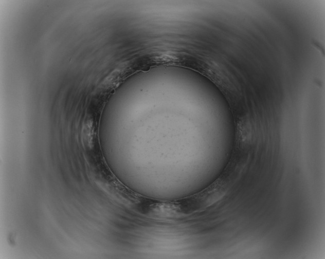 X0000103420223200809191645