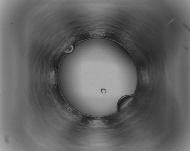 X0000103420224200809191645