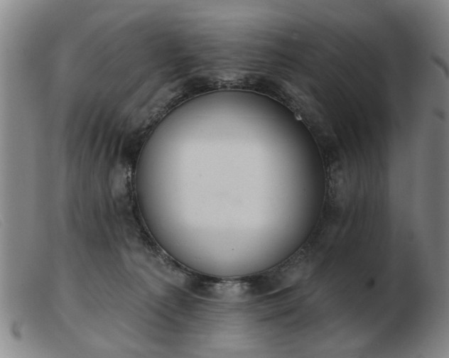 X0000103420225200809191645