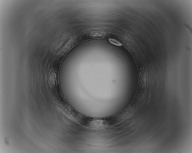 X0000103420227200809191645