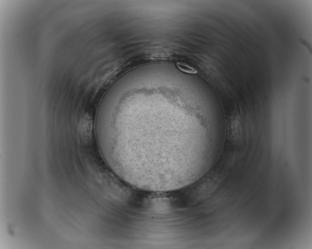 X0000103420228200809191645