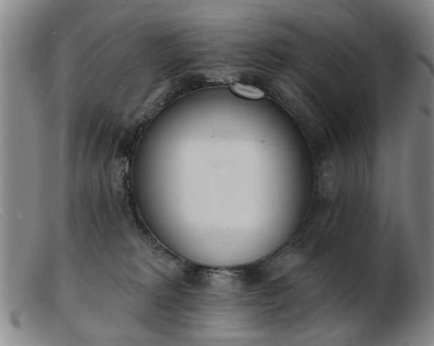 X0000103420229200809191645