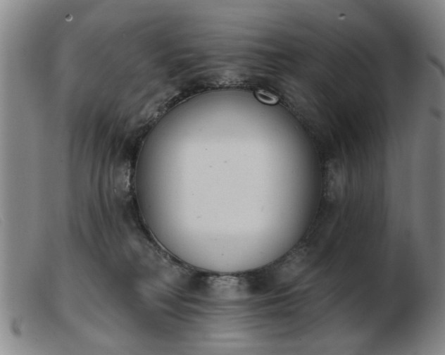 X0000103420230200809191645