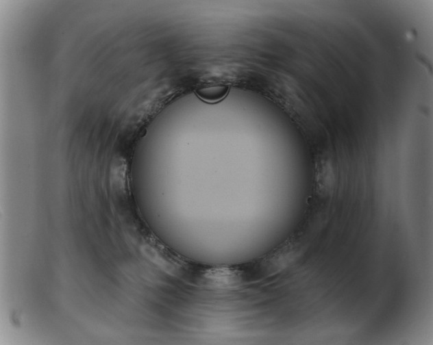 X0000103420231200809191645