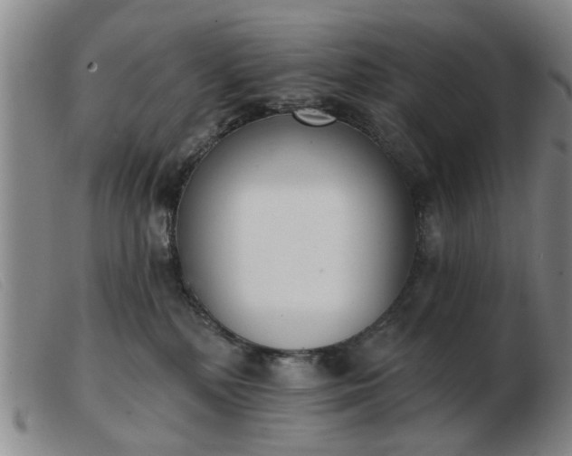 X0000103420232200809191644