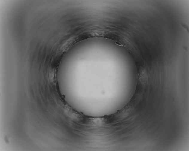 X0000103420233200809191644
