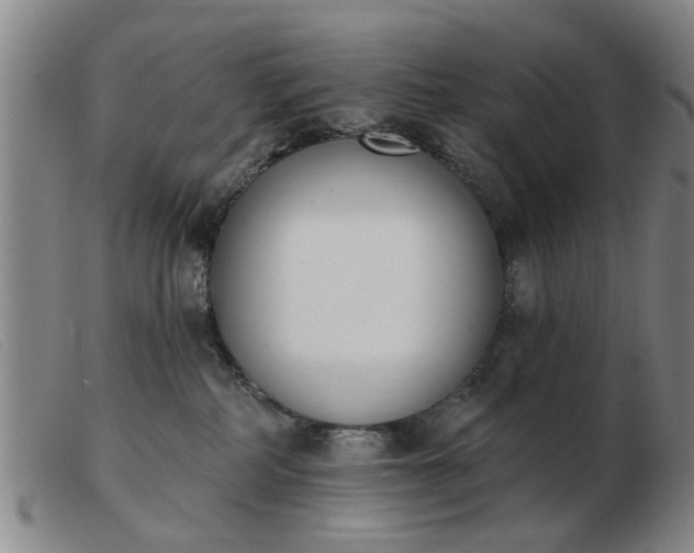 X0000103420234200809191644