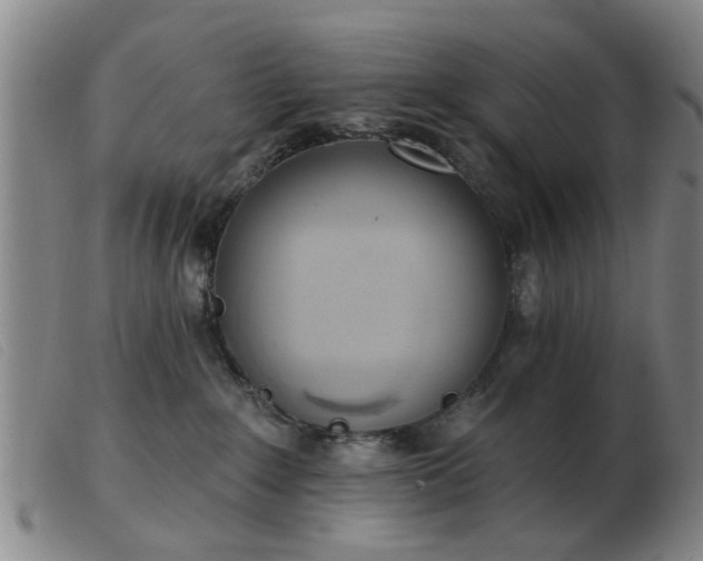 X0000103420235200809191644