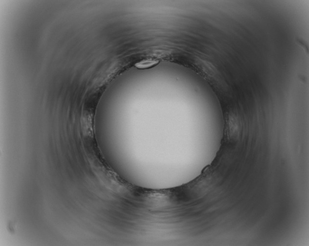 X0000103420236200809191644