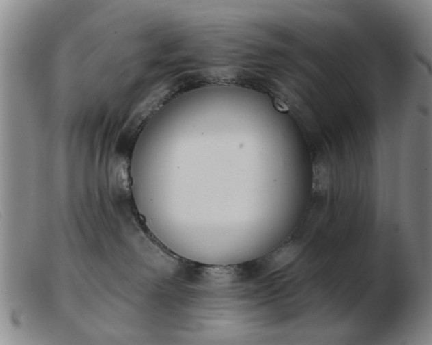 X0000103420238200809191644