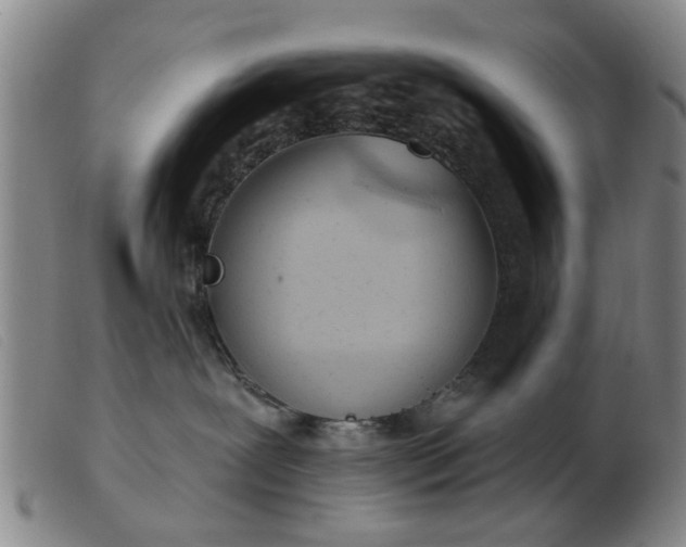 X0000103420239200809191644