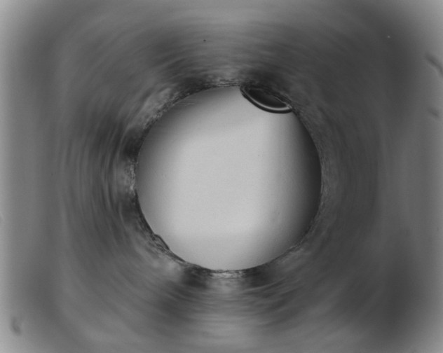 X0000103420240200809191644