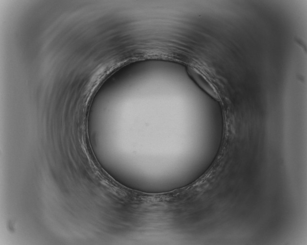X0000103420241200809191644