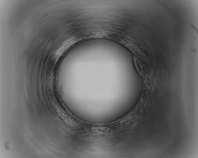X0000103420242200809191644