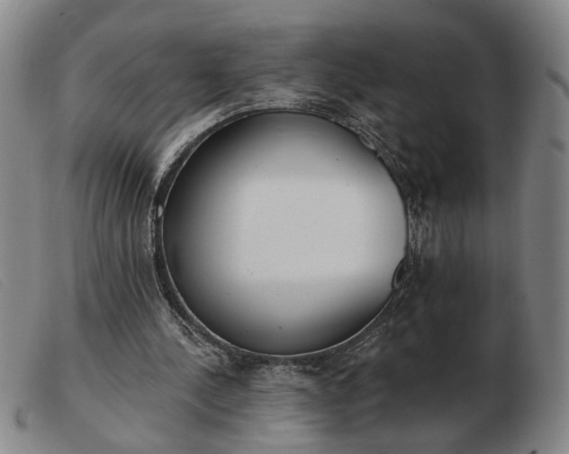 X0000103420244200809191644