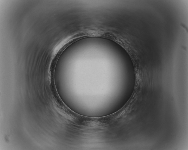 X0000103420246200809191644