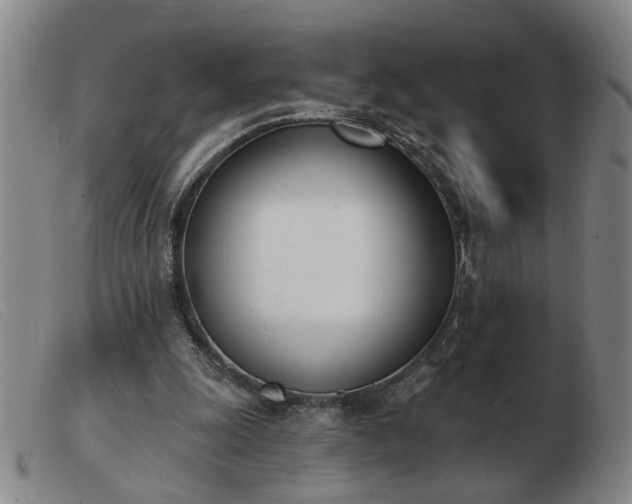 X0000103420247200809191644