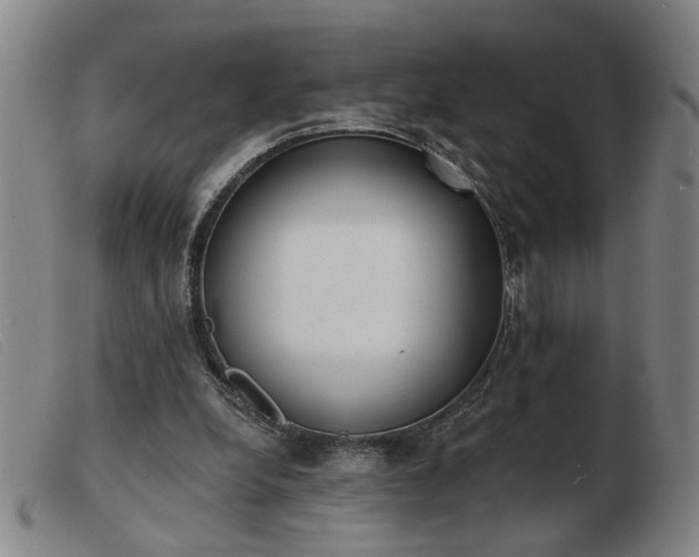 X0000103420248200809191644