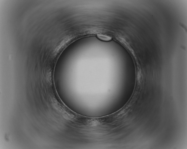 X0000103420249200809191644