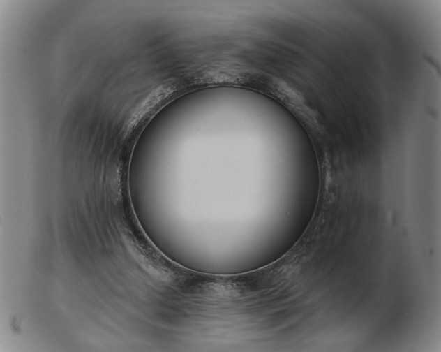 X0000103420250200809191644