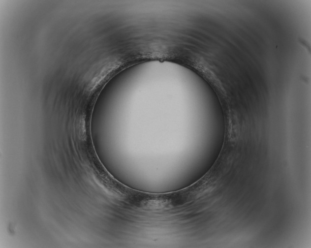X0000103420251200809191644