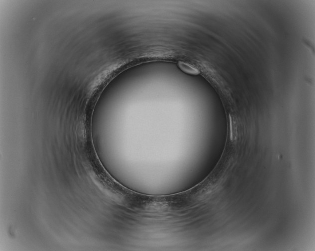 X0000103420252200809191644