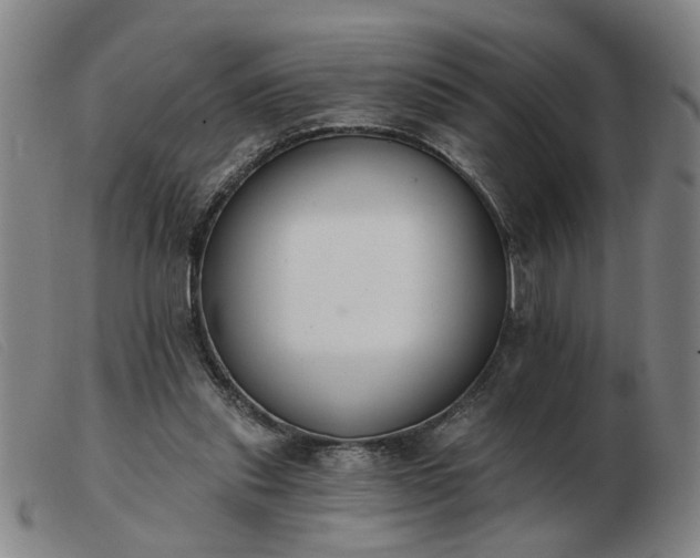 X0000103420253200809191644