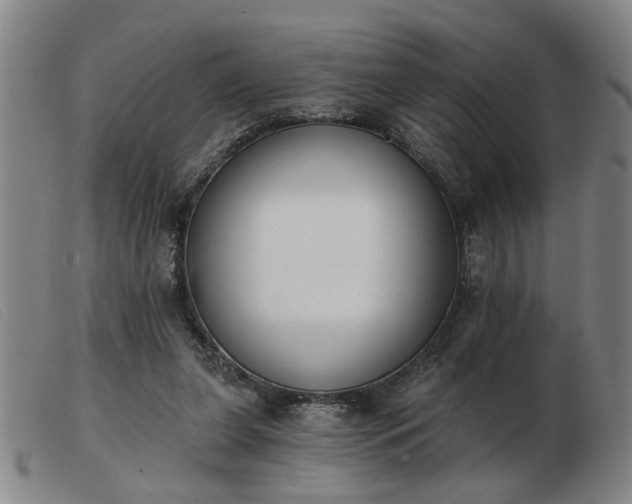 X0000103420255200809191644