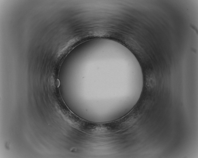 X0000103420256200809191644