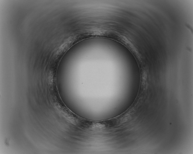 X0000103420257200809191644