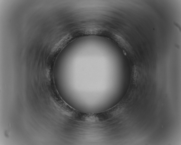 X0000103420258200809191644