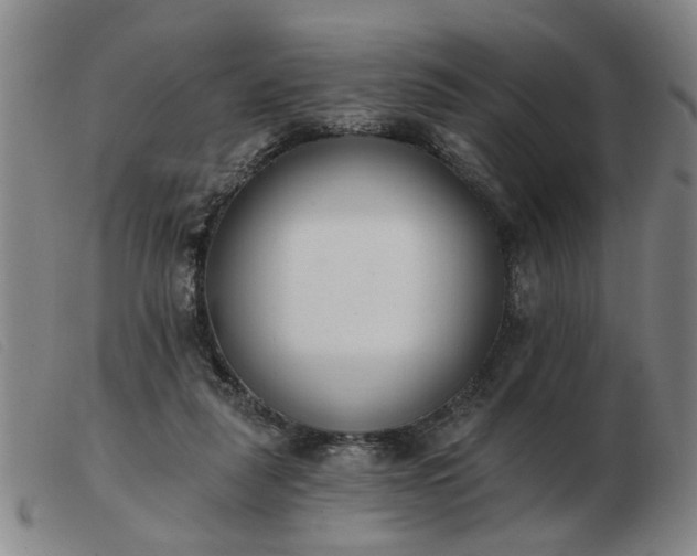 X0000103420259200809191644