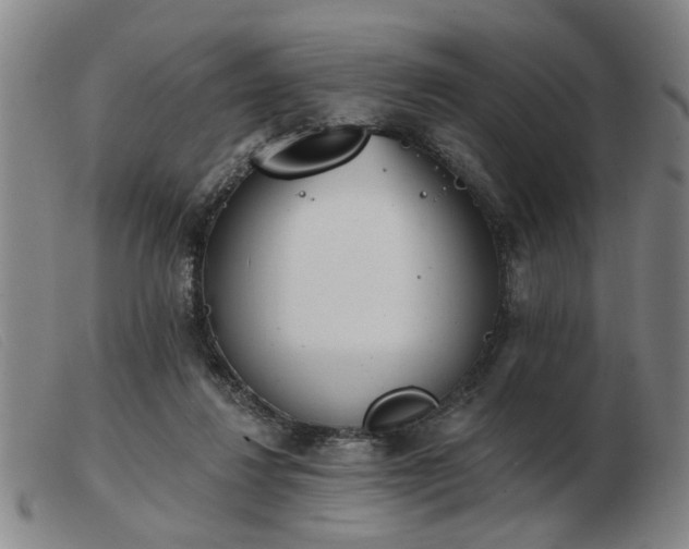 X0000103420260200809191644