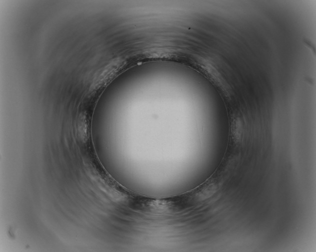 X0000103420261200809191644