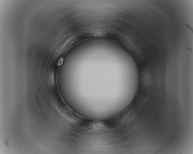 X0000103420262200809191644